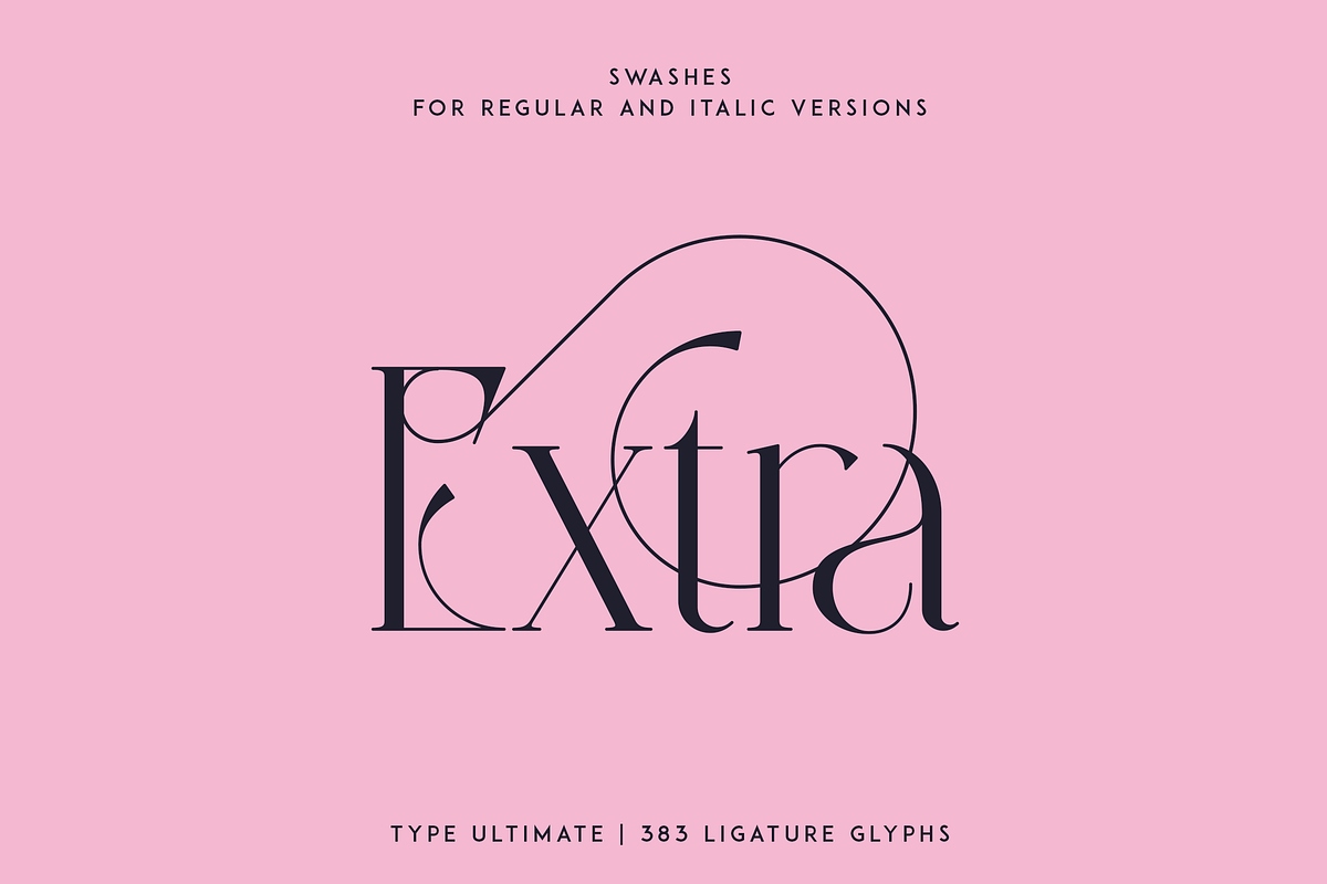 Type Ultimate - serif logo font, a Serif Font by VP Fonts (Photo 11 of 24)