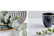 Eucalyptus Bundle, a Product Mockup by Peppermint &Tea (Thumbnail 2 of 8)