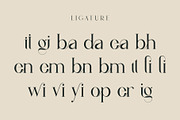 vindea Ligature Serif Typeface, a Serif Font by Humaira_std (Thumbnail 8 of 11)