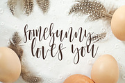Dumb Bunny Easter Stock Photography, a Mockup by Ashley Alexandra Design (Thumbnail 9 of 10)