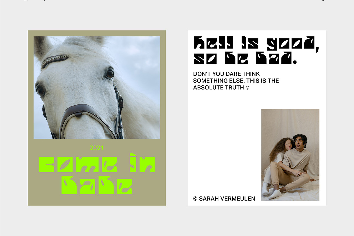DARLIZ | Display Font, a Serif Font by Vermeulen Design Studio (Photo 3 of 6)