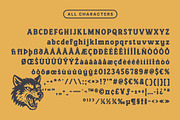 CS Limau Drawn, a Serif Font by Craft Supply Co. (Thumbnail 8 of 8)