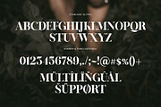 Kalins Elegant Ligature Serif Font, a Serif Font by Graphicxell (Thumbnail 7 of 8)