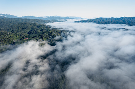 Fog and mountains in the morning forest, a Nature Photo by Art Rachen