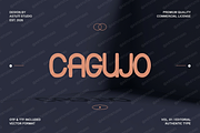 Cagujo | Luxury Editorial Serif, a Serif Font by Astuti Studio (Thumbnail 1 of 22)