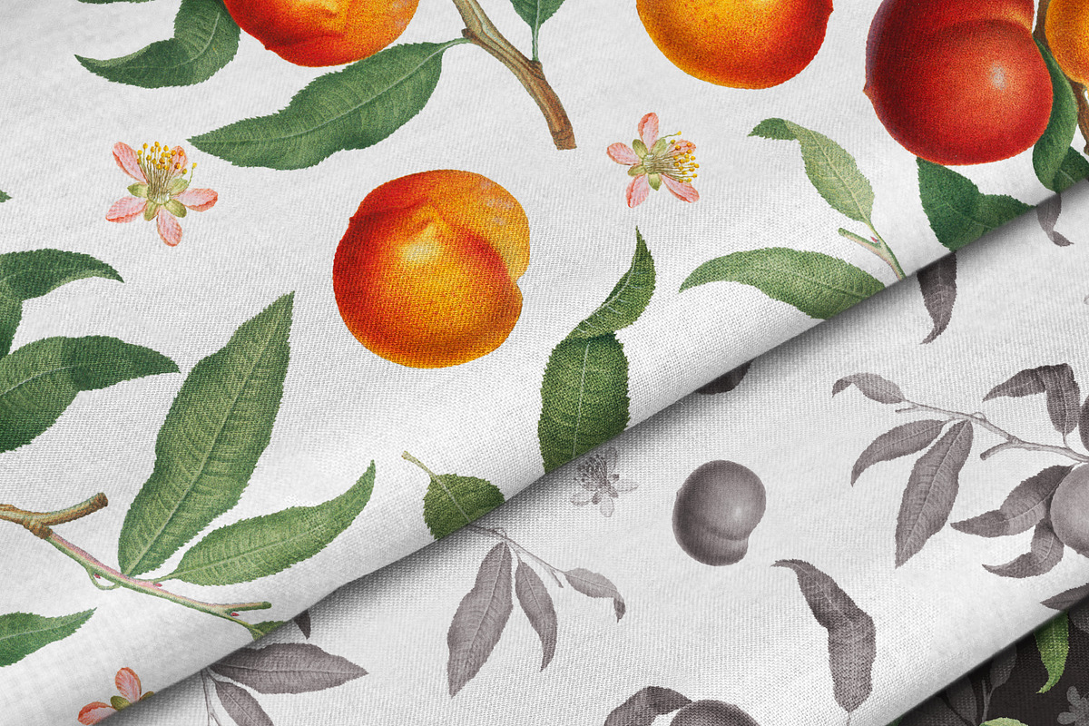 Vintage Peach Graphic Collection #01, a Decorative Illustration by Olga Begak Art & Design (Photo 8 of 9)