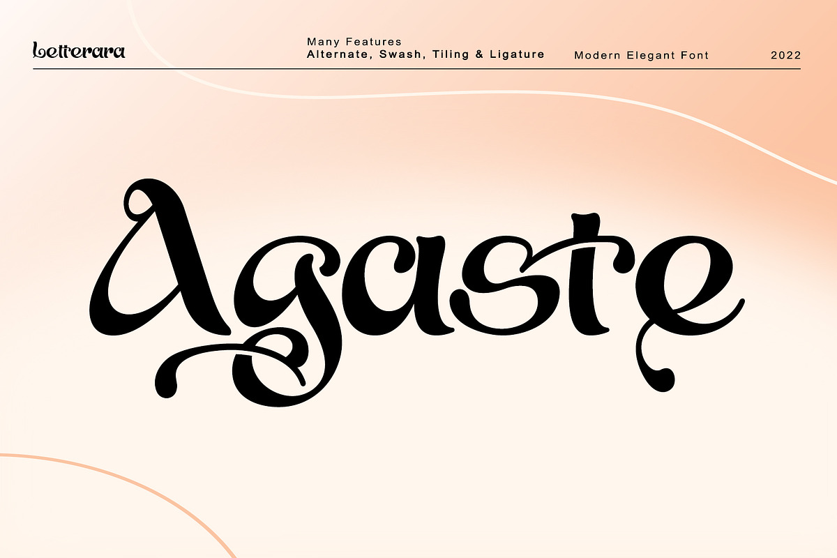 Agaste, a Serif Font by Letterara (Photo 1 of 11)