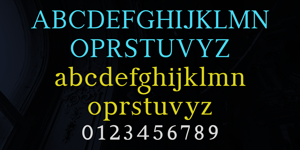 Manas VF, a Serif Font by Fontuma (Photo 2 of 12)