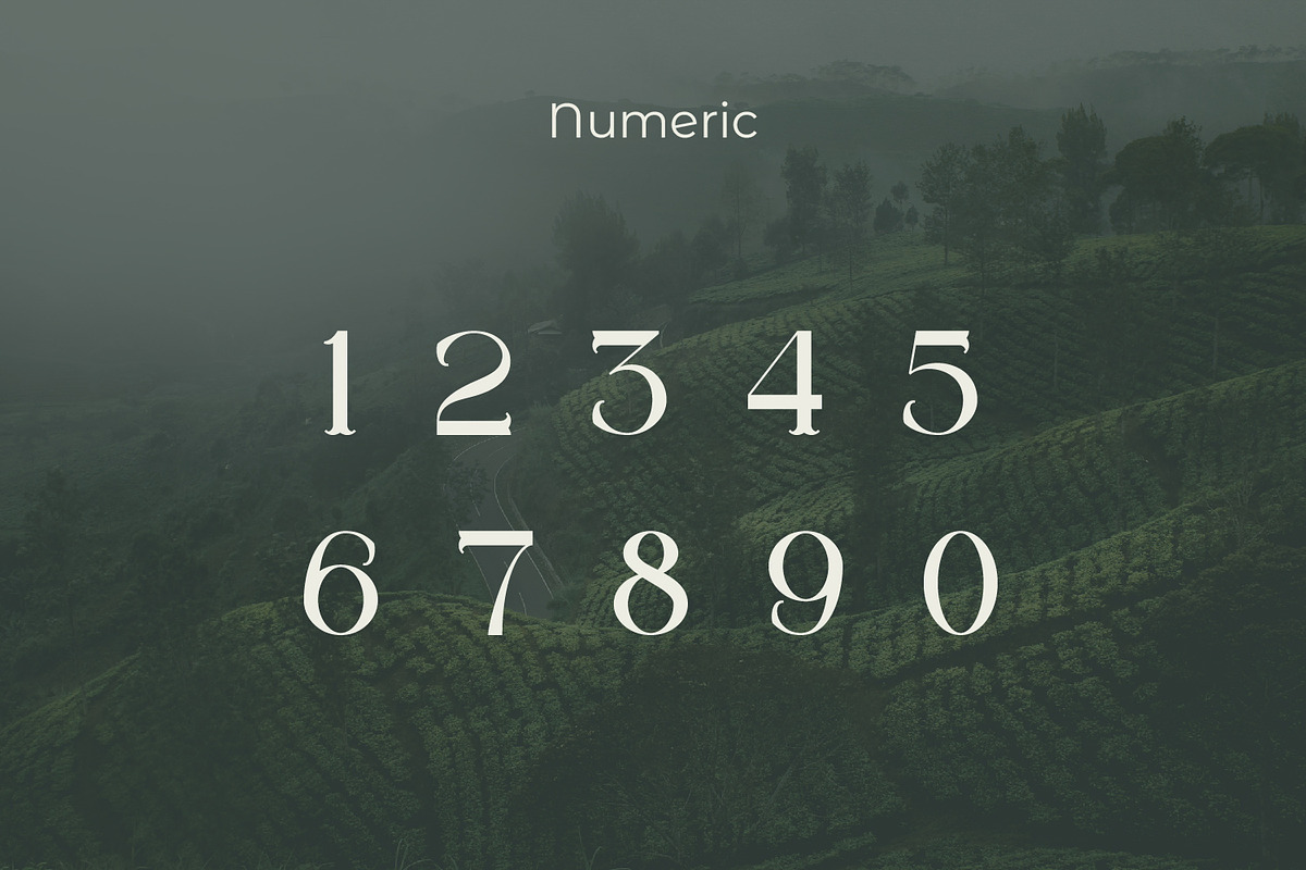Megarow, a Serif Font by Rishsketch (Photo 12 of 13)