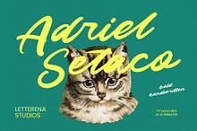 Adriel Setaco Bold Handwritten