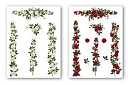 Set of white and red vector roses, an Illustration by belander (Thumbnail 7 of 10)