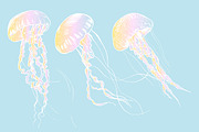 JELLYFISH set, an Animal Illustration by Tanya Akhmett (Thumbnail 4 of 6)