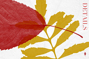 Leaves Photoshop Stamp Brushes, a Brush Add-On by ArtistMef (Thumbnail 5 of 7)