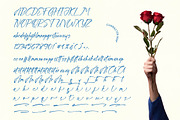 Changke Anitsuka Handwritten Ink, a Script Font by Letterena Studios Script (Thumbnail 4 of 10)