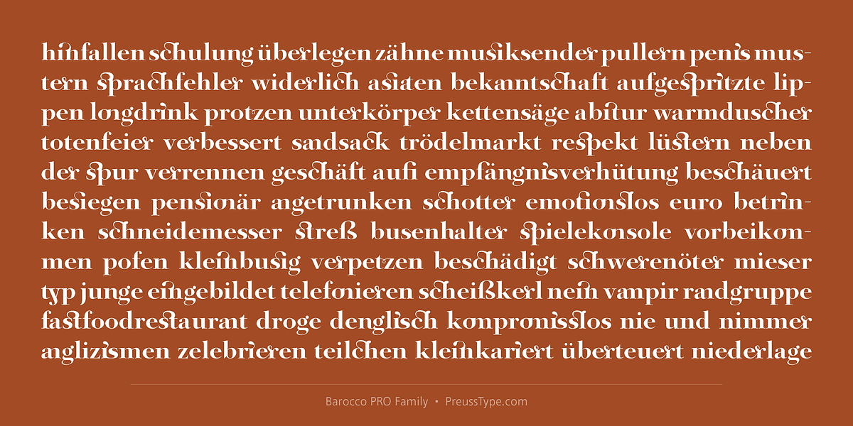 Barocco PRO, a Serif Font by preussTYPE (Photo 2 of 12)