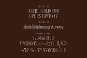 Gadnesh Meteora A Modern Serif, a Serif Font by Storytype Studio (Thumbnail 13 of 15)
