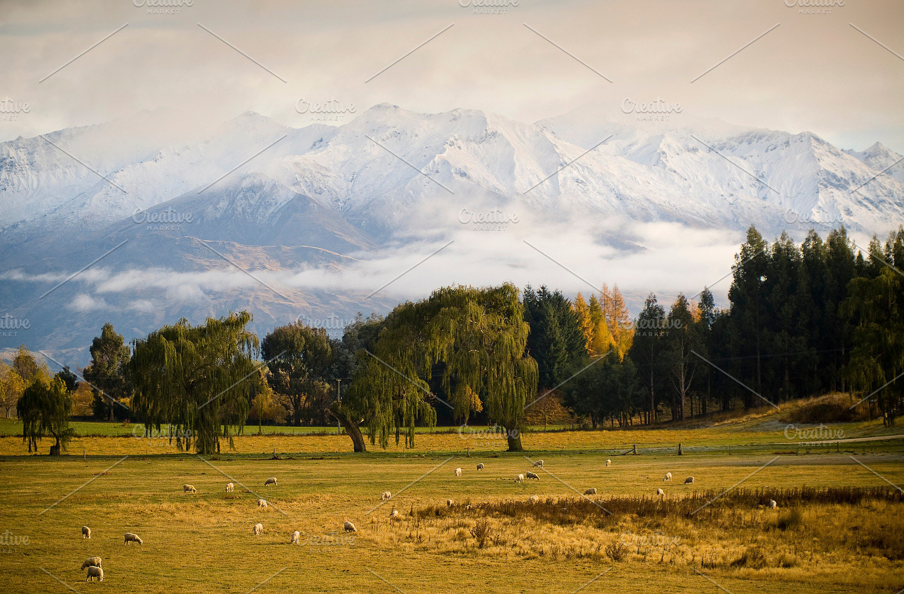 Mountain Dawn, a Nature Photo by THP Creative