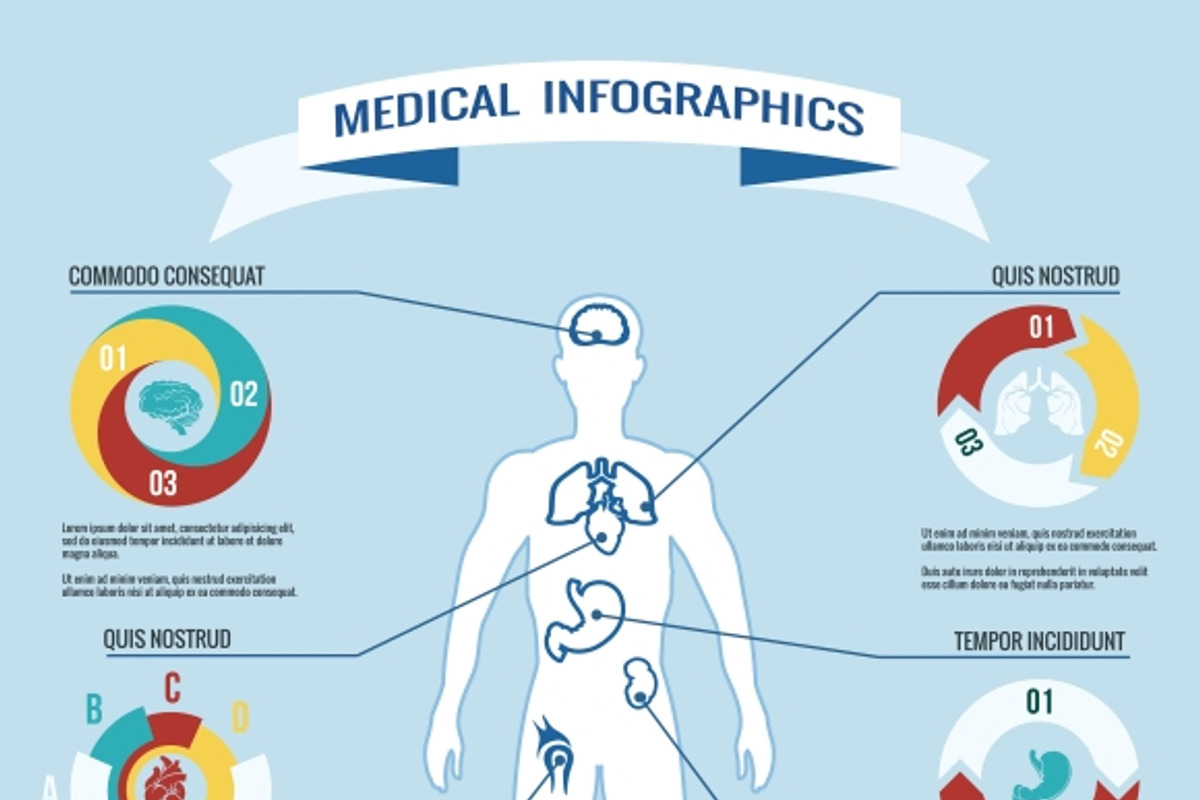 Human body medical infographics, a Healthcare Illustration by Microvector