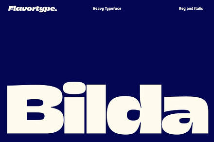 Bilda, a Sans Serif Font by Flavortype