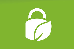 Vector Lock And Leaf Logo