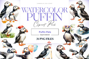 Watercolor Puffin Clipart, Bird PNG