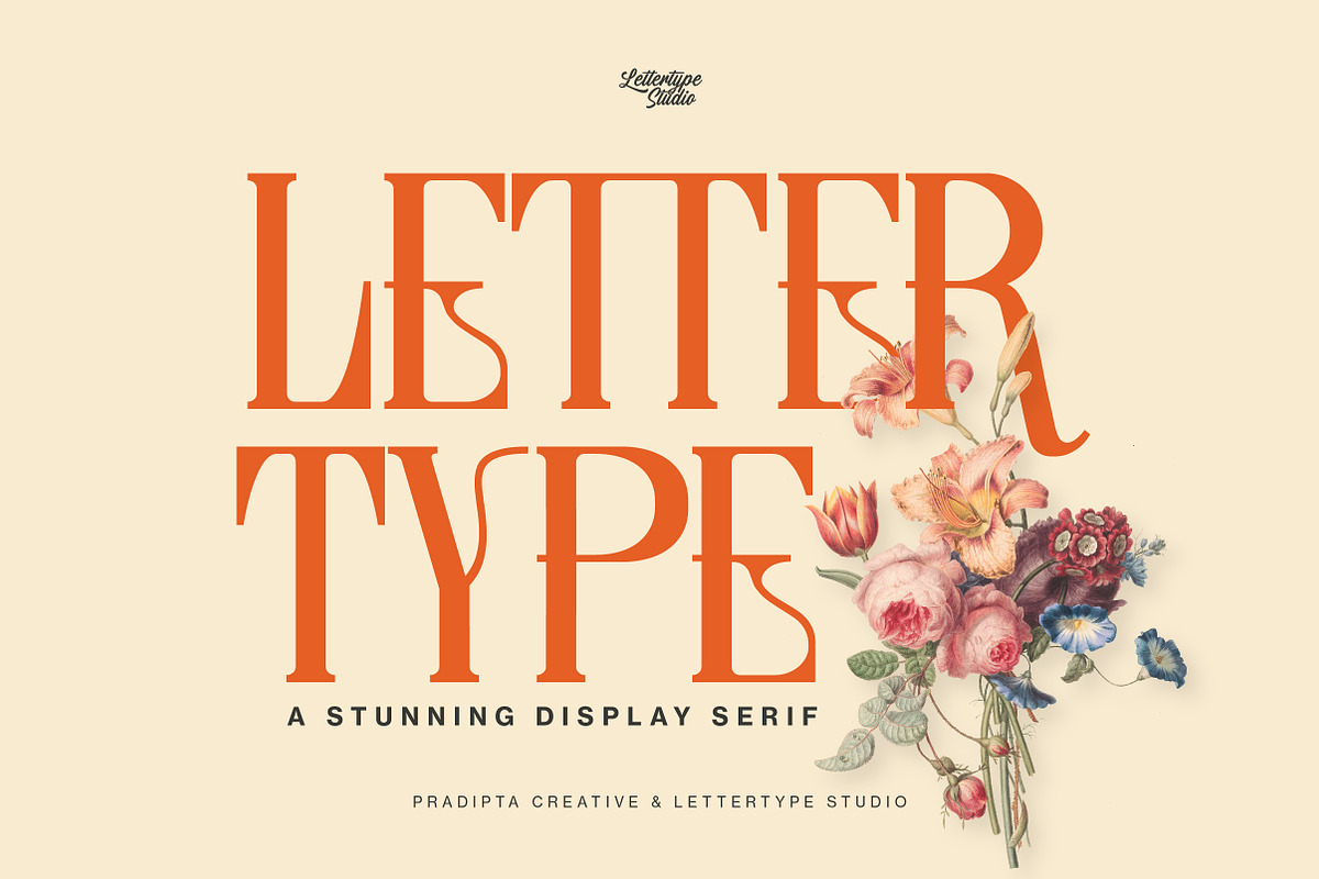 Lettertype a Stunning Display Serif, a Serif Font by Lettertype Studio (Photo 1 of 20)