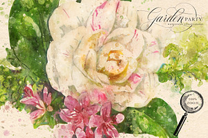 Garden Party Watercolor Graphics