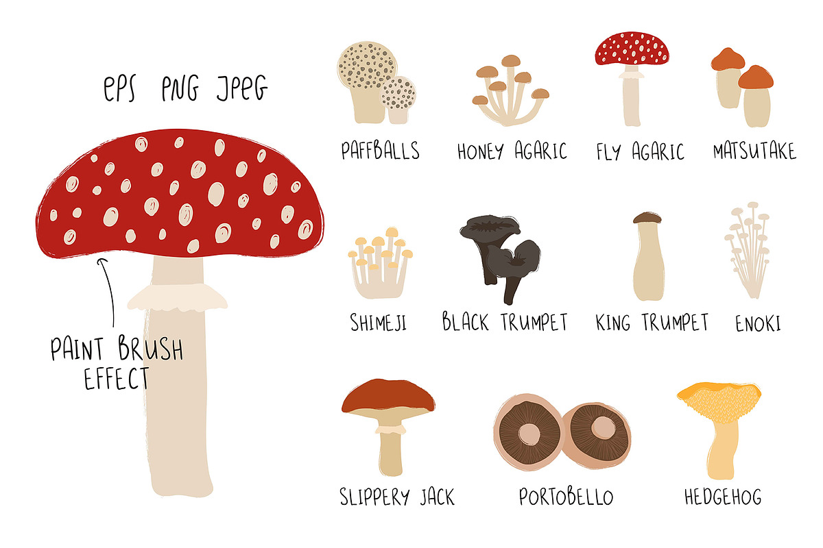 Go for Mushrooms. Forest Collection., a Food Illustration by Annakniaz (Photo 3 of 11)