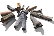 13 Tree Logs, an Environmental 3D Model by Beatheart Creative Studio (Thumbnail 16 of 37)