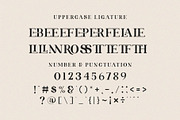 ROLATE Ligature Serif Typeface, a Serif Font by Alfinart (Thumbnail 9 of 10)