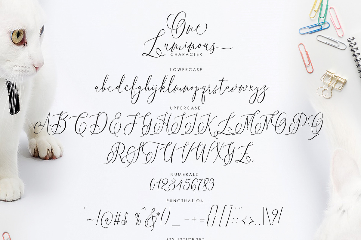 One Luminous Script, a Script Font by moriztype