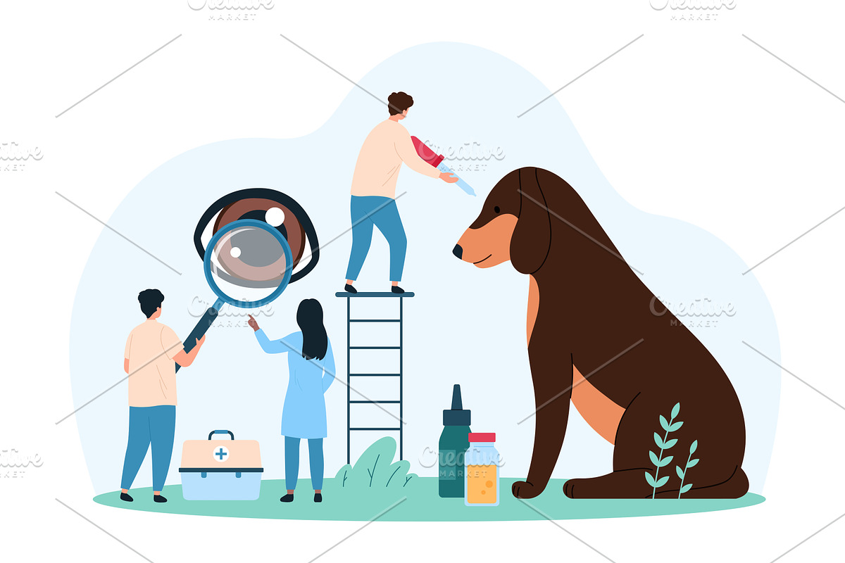 Medical examination vet hospital, a Healthcare Illustration by Flashvector