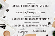 Dreamy Fjord-Scandinavian font, a Font by Astarte_design (Thumbnail 3 of 11)