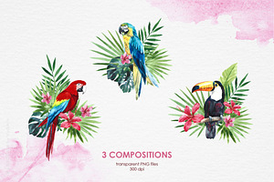 Watercolor Tropical Birds & Plants