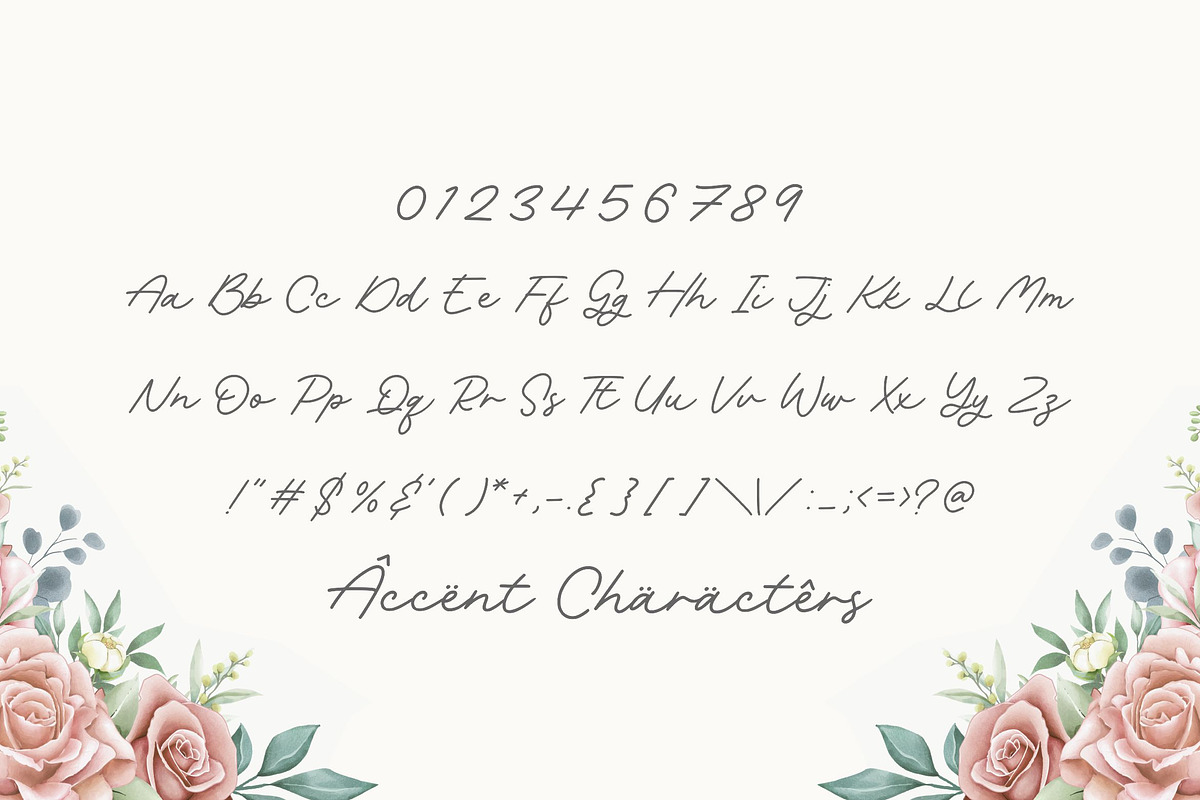 Rachel Bowie - Modern Monoline Font, a Script Font by Balpirick Studio (Photo 6 of 7)