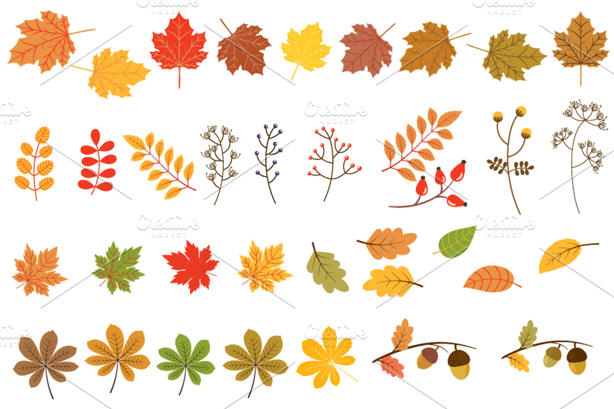 Autumn leaves clipart set, a Seasonal Illustration by Pravokrugulnik (Photo 2 of 2)