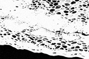 Frenzy Vol 2, a Texture Graphic by Jennifer Lauren Creative (Thumbnail 4 of 16)