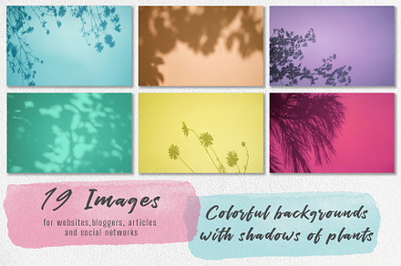 Colorful plant shadows backgrounds