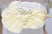 Petals Garden Collage Kit, an Object Graphic by Purple (Thumbnail 6 of 15)