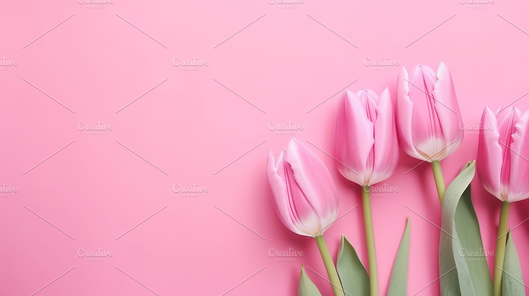colorful tulip background, a Nature Photo by Virgo Studio