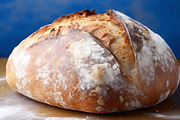 Bread. 43 images, a Food Illustration by Handmadefont (Thumbnail 3 of 11)