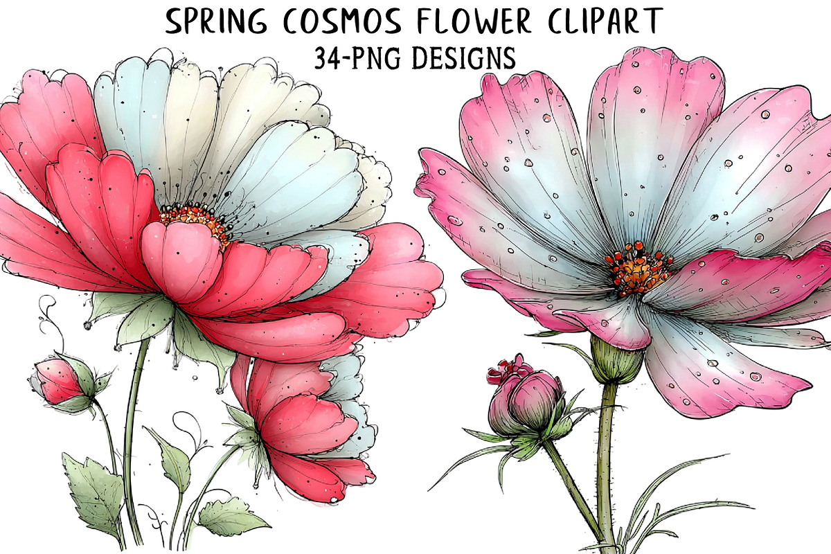 Spring Cosmos Flower Clipart, an Illustration by Daily.Designs (Photo 1 of 8)