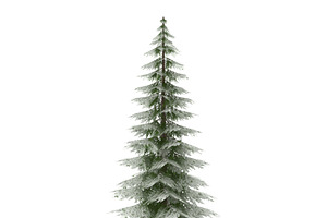 Canadian Spruce Tree Snow V1