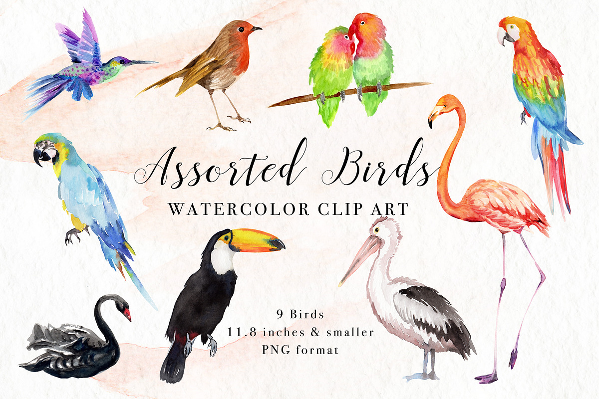 Sale- Birds Watercolor Clip Art, an Illustration by Art by Lin (Photo 1 of 3)
