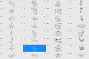 Garden flowers procreate brushes, a Brush Add-On by AnnaPolitmerskaja (Thumbnail 5 of 5)