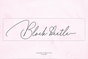 Zallety Signature, a Script Font by danti (Thumbnail 2 of 11)