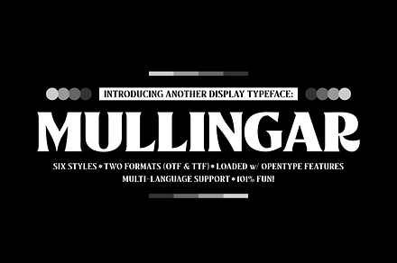 Mullingar | Display Typeface, a Serif Font by Twicolabs Fontdation