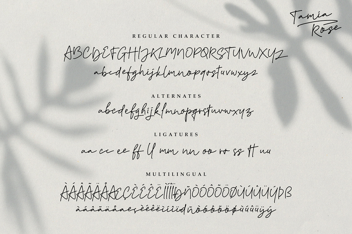 Tamia Rose Signature - Extra Swashes, a Script Font by Signatoro (Photo 11 of 12)