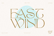 TAN - The Whistling, a Serif Font by TanType (Thumbnail 31 of 35)