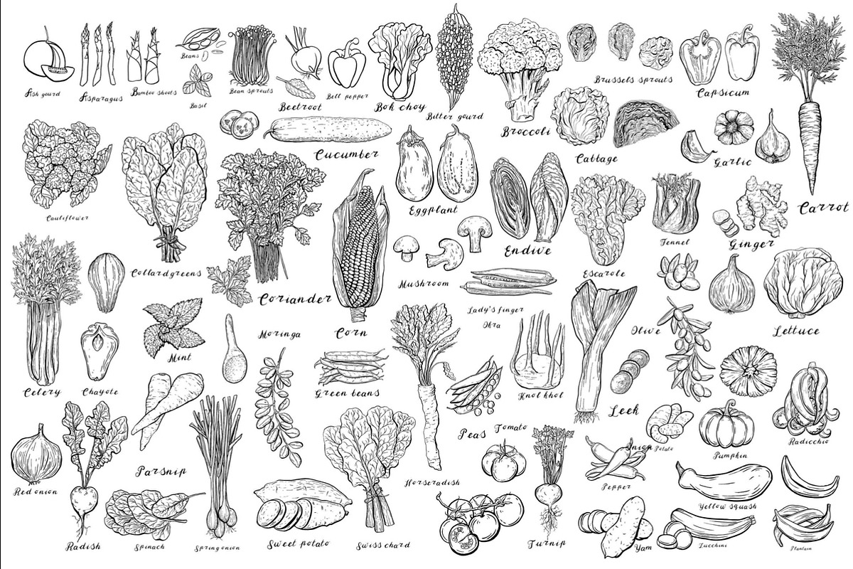 Vegetables, a Food Illustration by Anada Arty